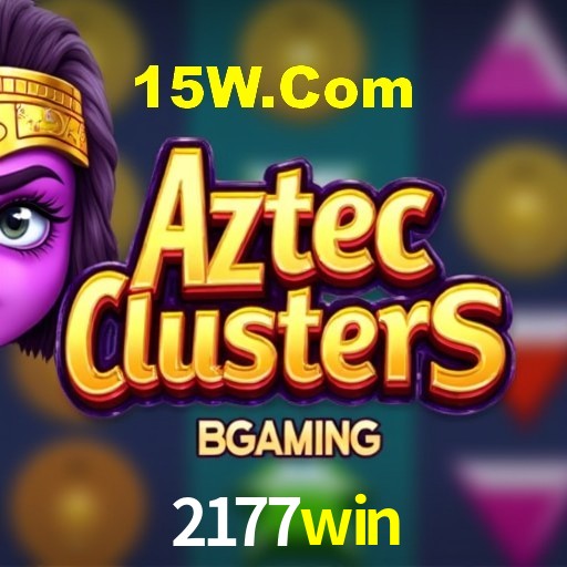 Programa VIP 2177win