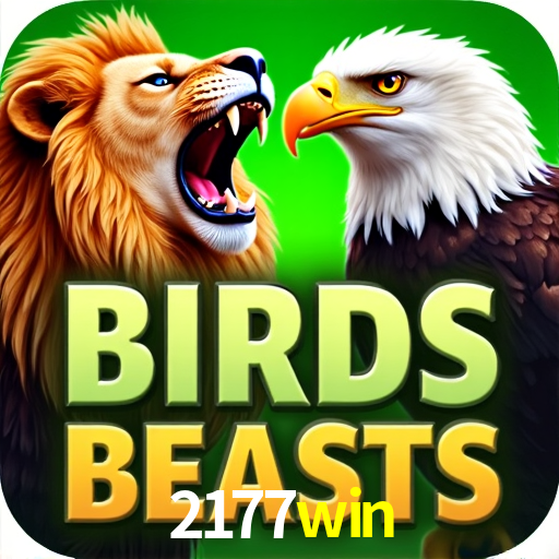 2177win Salvador - Strategies