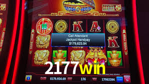 2177win App Interface